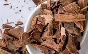 हार्ट की बीमारी को दूर करेगा ये छाल,बस रोज इस तरह करें सेवन!