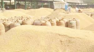 जिले में धान खरीदी केंद्रों पर पर्याप्त सुविधाएं, अवैध धान पर सख्त कार्रवाई जारी