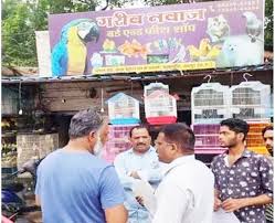 रायपुर के बर्ड्स हाउस, फिश शॉप और डॉग सेंटर में छापा, पंजीयन निरस्त की चेतावनी