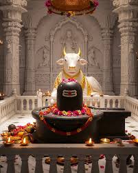 भौम प्रदोष व्रत पर चढ़ाएं ये चीजें,कर्ज से मिलेगी मुक्ति,जानें पूजा विधि 