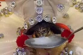 कृष्ण जन्माष्टमी पर छत्तीसगढ़ में हुआ अद्भुत चमत्कार,लड्डू गोपाल की मूर्ति ने पीया दूध