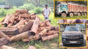  वन विभाग की टीम ने की बड़ी कार्रवाई,ट्रक और स्कॉर्पियो समेत 45 लाख का माल जब्त