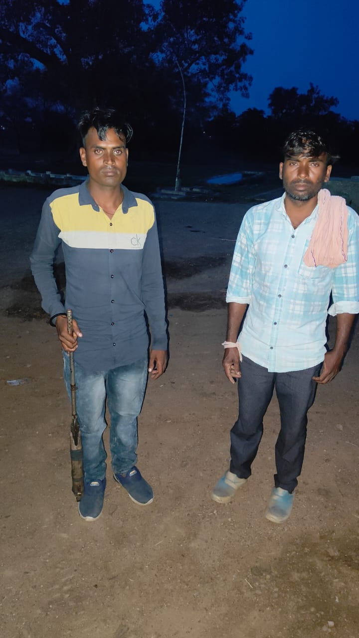 कोसमंदा में बंदरों को मारने वाले अज्ञात आरोपी की हुई पहचान- प्रकरण में विवेचना जारी 