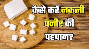 राजधानी में नकली पनीर का धंधा लगातार फल-फूल रहा ,एक साल में 15,090 किलो नकली पनीर जब्त