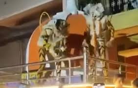   बिलासपुर में मोहर्रम जुलूस के दौरान युवकों ने काटा बवाल,मंदिर की छत पर युवकों ने किया डांस 