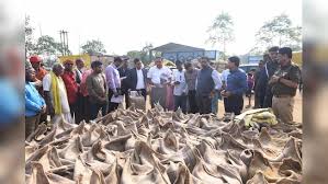  धान में करोड़ो की हेरा फेरी :  बोरियों में भर दी मिट्टी-भूसी, अब प्रबंधक व ऑपरेट के खिलाफ कसा शिकंजा