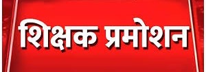 छत्तीसगढ़ : 169 सहायक शिक्षकों को मिली पदोन्नति