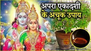 अपरा एकादशी के दिन जरुर करें ये उपाय,बन जायेंगे सारे बिगड़े काम 