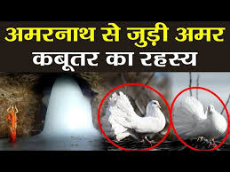 क्या है अमरनाथ यात्रा की पौराणिक कथा, गुफा में है अमर कबूतरों का जोड़ा ?