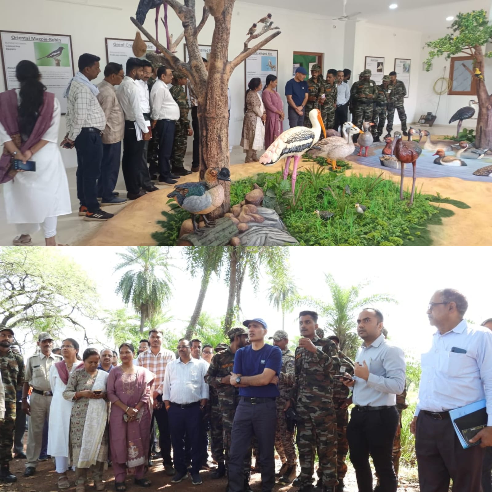 गिधवा-परसदा प्रवासी पक्षी विहार का निरीक्षण, कलेक्टर रणबीर शर्मा ने किया संरक्षण व स्वच्छता का आह्वान
