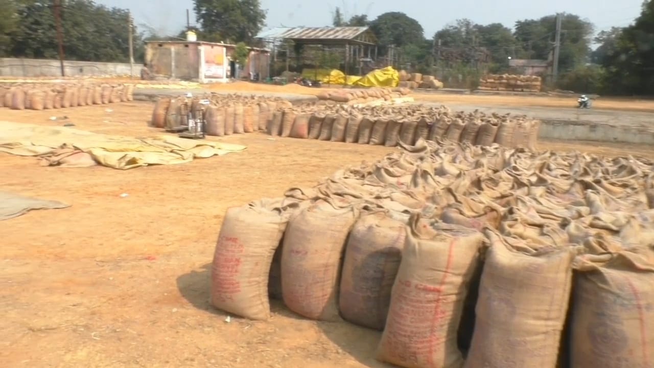 धान खरीदी के महापर्व में किसानों के खातों में धनवर्षा शुरू, रायगढ़ में पारदर्शी व्यवस्था से बढ़ा किसानों का भरोसा
