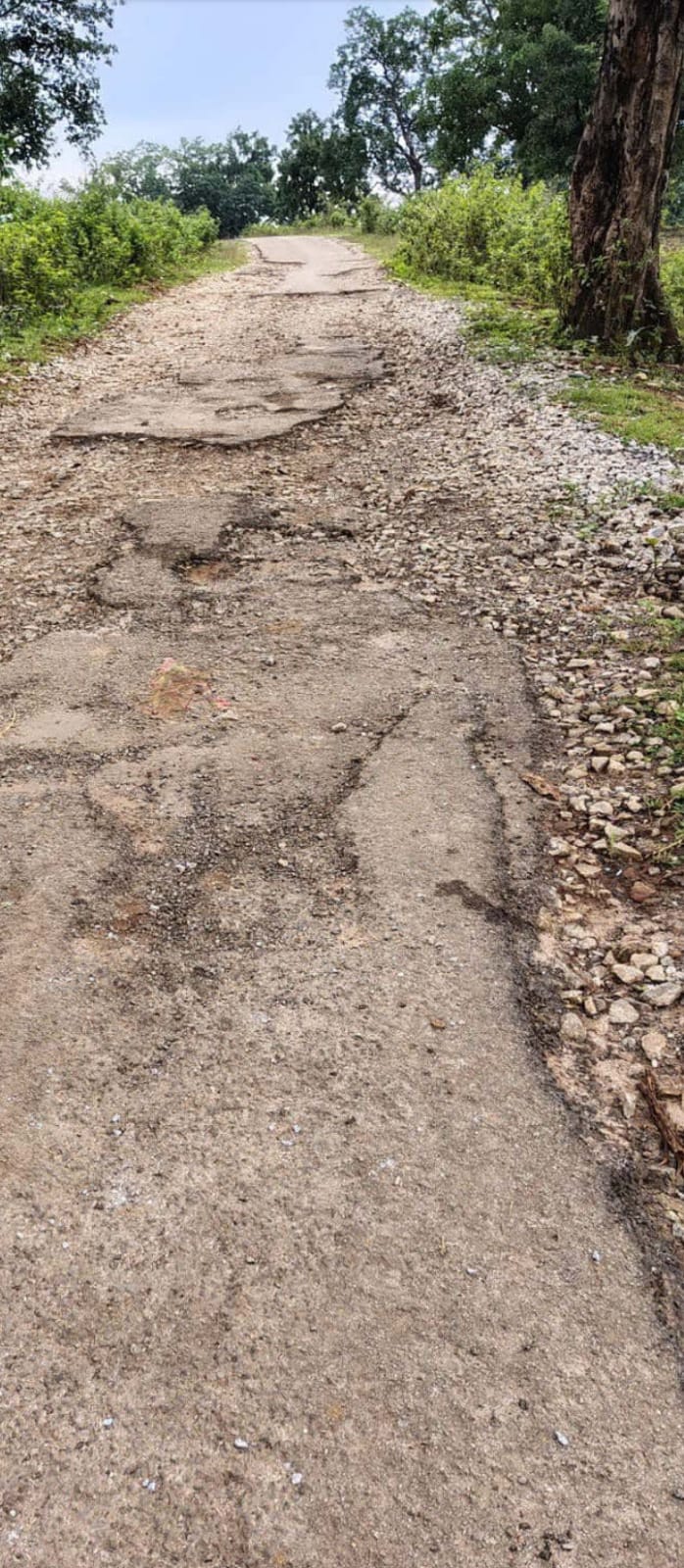 खुशखबरी! दंतेवाड़ा में नेरली से बेहनार सड़क निर्माण के लिए 105.24 लाख का प्राक्कलन तैयार:जोशी