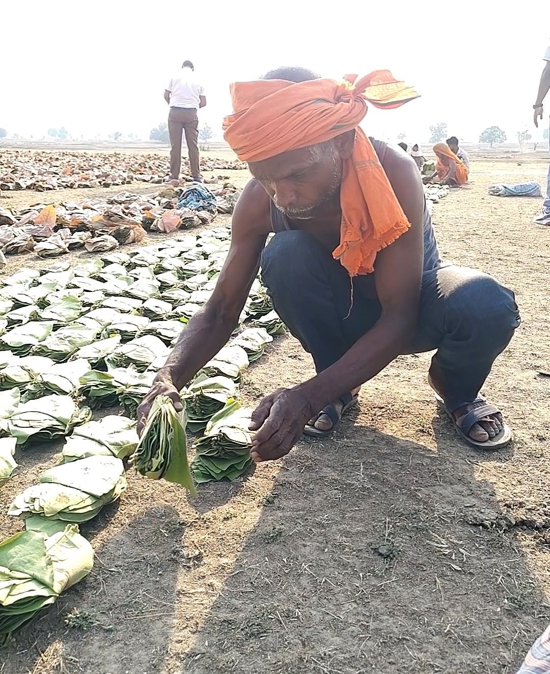 तेंदूपत्ता की बढ़ी दर से बदली जिंदगी : बहेराटोला के अमोल सिंह बोले-सरकार ने वनवासियों को दिया सम्मान और संबल