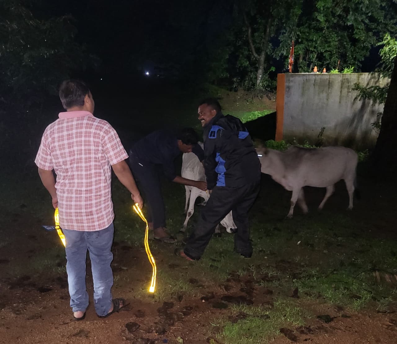 NH-43 पर हादसे रोकने प्रशासन की अनूठी पहल, 19 निराश्रित पशुओं के गले में बांधे गए रेडियम बेल्ट