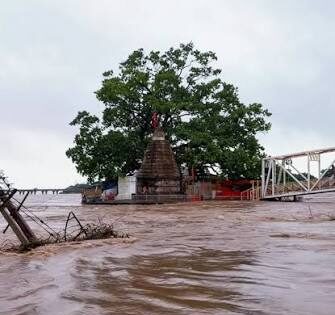 महानदी उफान पर, वर्षों बाद डूबा कुलेश्वर महादेव मंदिर; गरियाबंद-रायपुर मार्ग ठप