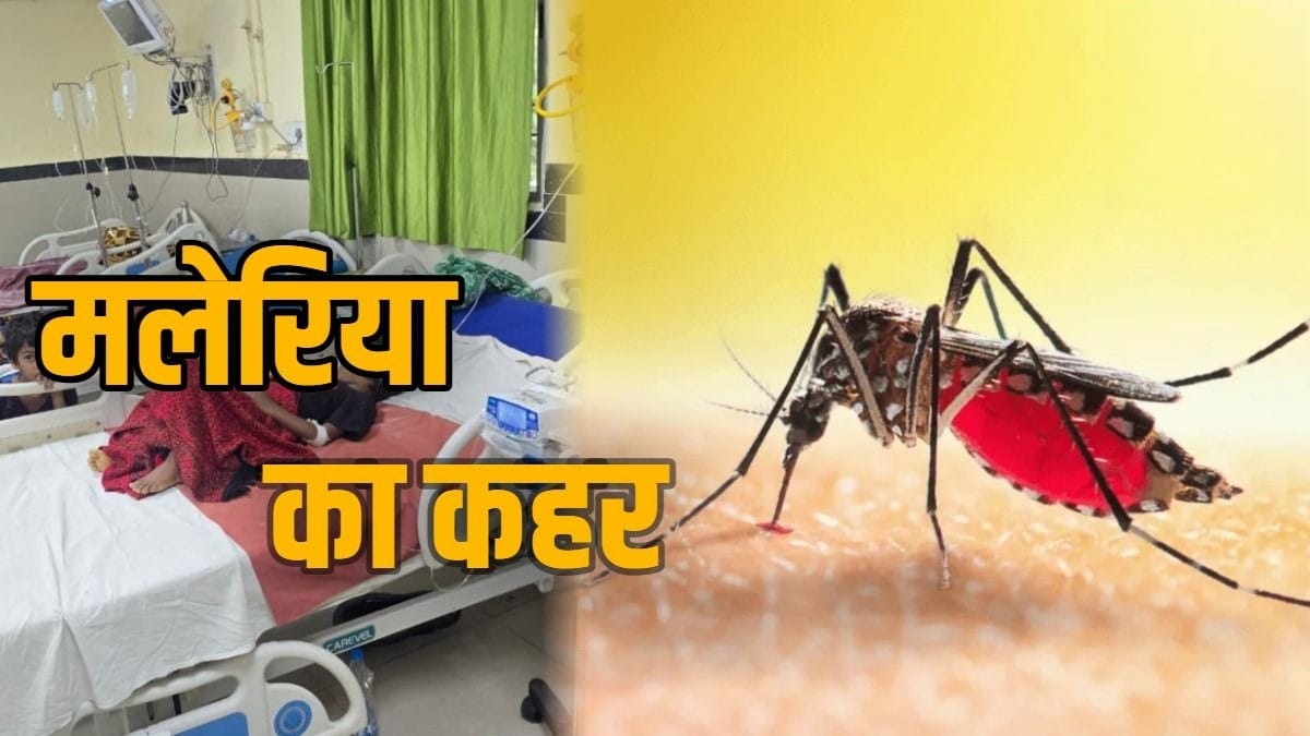 बिलासपुर में मलेरिया का कहर! 10 दिन में 25 मरीज, स्वास्थ्य विभाग में मचा हड़कंप