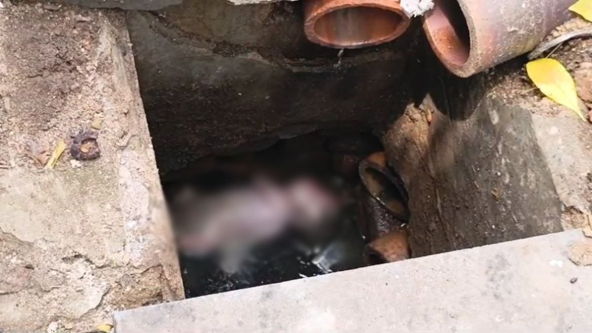 भिलाई में गटर की सफाई के दौरान मिला 2-3 दिन का नवजात, मचा हड़कंप; आखिर किसने और क्यों छोड़ा?