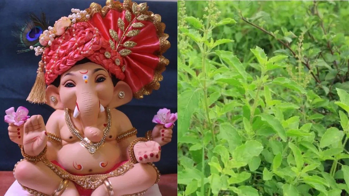 गणेश जी को क्यों नहीं चढ़ाई जाती तुलसी? जानें श्राप-प्रतिश्राप से जुड़ी पौराणिक कथा